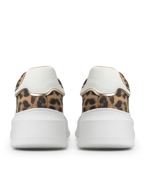 Tenis Leopardo 7069-1